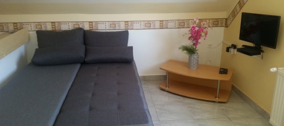 5 bedrooms House in Zalakaros, Hungary No. 233 15