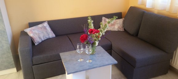 5 bedrooms House in Zalakaros, Hungary No. 233 14