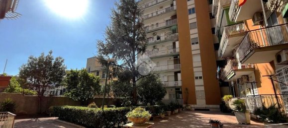 4 bedrooms Apartment in San Giorgio a Cremano, Italy No. 311566 14