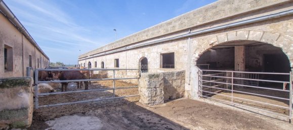 Quinta T15 em Ciutadella De Menorca, Spain N.º 5211 13