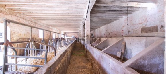 Quinta T15 em Ciutadella De Menorca, Spain N.º 5211 12