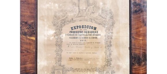 Quinta T15 em Ciutadella De Menorca, Spain N.º 5211 2