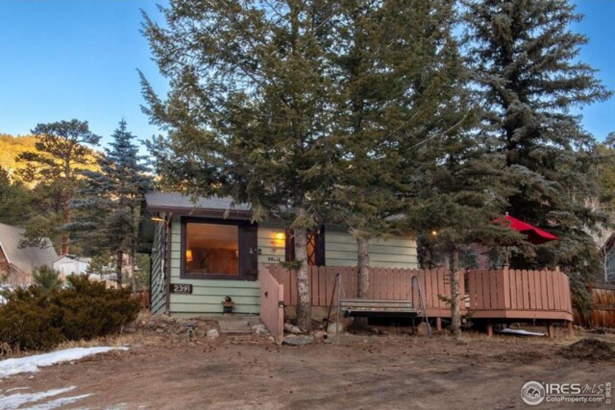 Studio in Estes Park, USA No. 376875