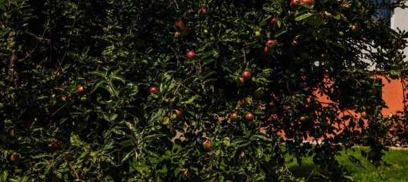 Дом с 8 комнатами в Фонсдорф, Австрия № 200285 13