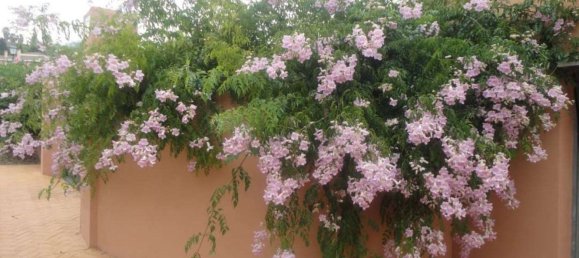 4 Schlafzimmer Haus in Estepona, Spain, Nr. 119917 8