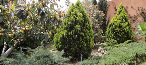 4 Schlafzimmer Haus in Estepona, Spain, Nr. 119917 59