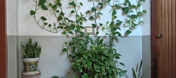 3 bedrooms Apartment in Mascali, Italy No. 376725 15