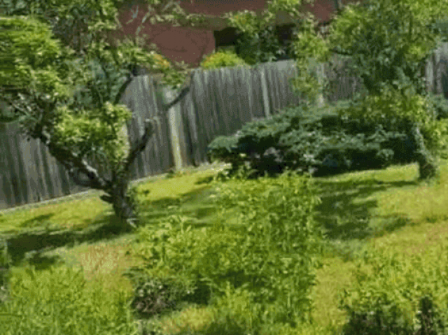 Terrain à Michelhausen, Austria No. 135559