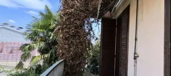 4-Zimmer Doppelhaus in Cesano Maderno, Italy, Nr. 186909 21