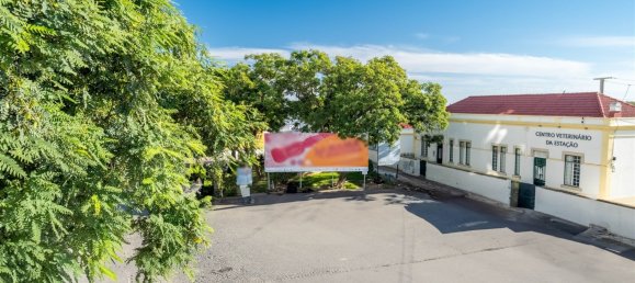 170m² Building in Faro, Portugal No. 117430 12