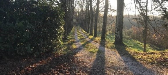 4 bedrooms Villa in Fucecchio, Italy No. 120493 10