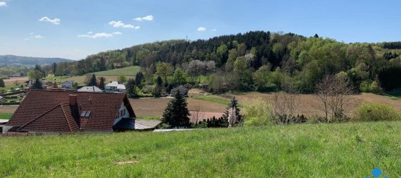  Land in Stegersbach, Austria No. 243092 2