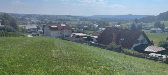  Land in Stegersbach, Austria No. 243092 4
