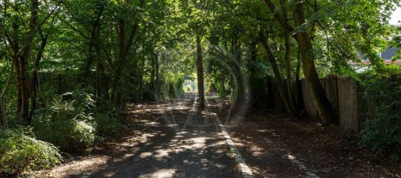 3 غرف نوم تاون هاوس في Lubars, Germany رقم 77854 7