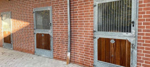 4 bedrooms House in Borde, Germany No. 217623 14