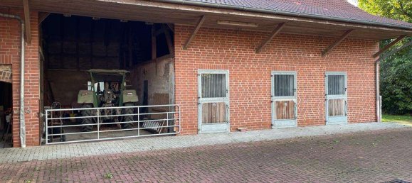 4 bedrooms House in Borde, Germany No. 217623 13