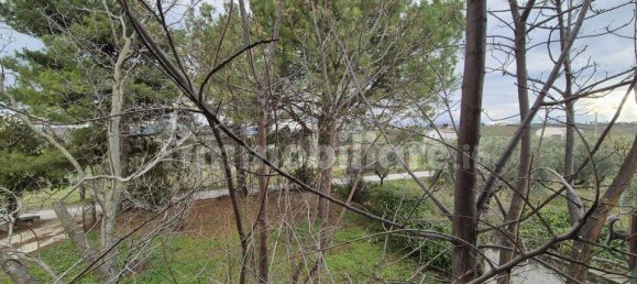 4 bedrooms House in Nocciano, Italy No. 39729 29