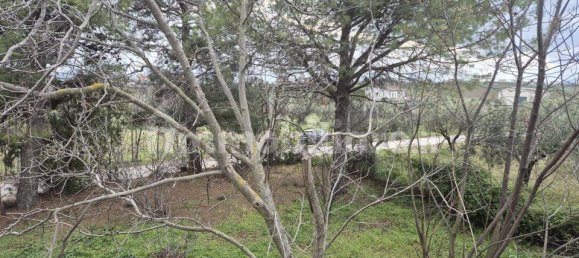 4 bedrooms House in Nocciano, Italy No. 39729 25