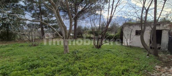 4 bedrooms House in Nocciano, Italy No. 39729 26