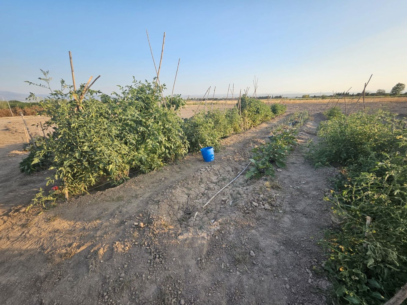  قطعة أرض في Albolote, Spain 5699متر مربع رقم 139152