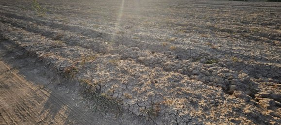  قطعة أرض في Albolote, Spain 5699متر مربع رقم 139152 4