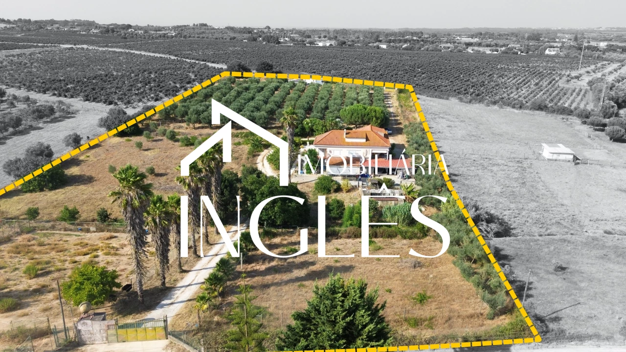 5 bedrooms House in Cartaxo, Portugal No. 243698