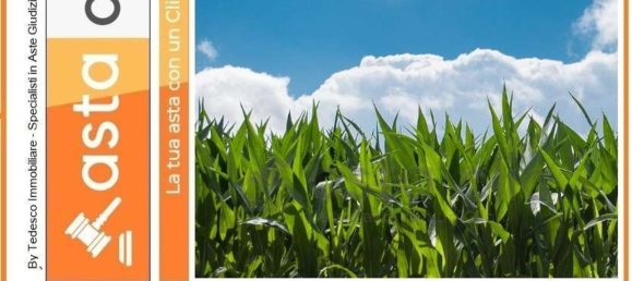 10215m² Land in Capaccio Paestum, Italy No. 224789 4