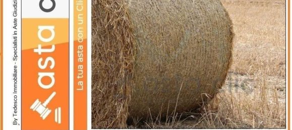 10215m² Land in Capaccio Paestum, Italy No. 224789 6