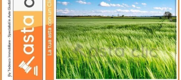 10215m² Land in Capaccio Paestum, Italy No. 224789 3