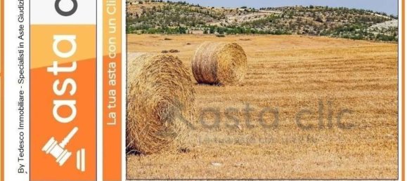 10215m² Land in Capaccio Paestum, Italy No. 224789 11