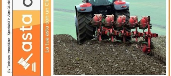 10215m² Land in Capaccio Paestum, Italy No. 224789 8