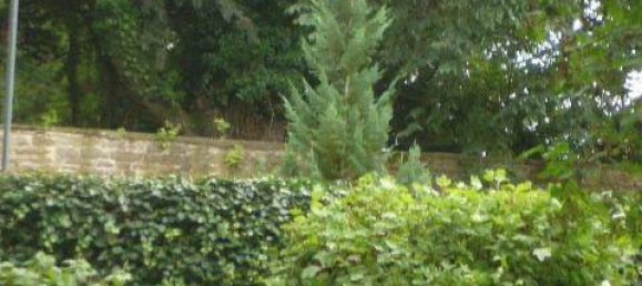 4 rooms House in Borde, Germany No. 154621 4