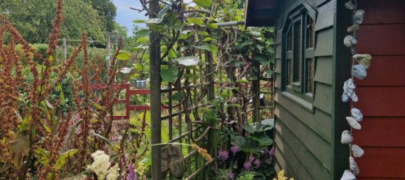  Land in Friesland, Germany No. 234655 14