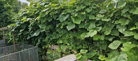  Land in Friesland, Germany No. 234655 11