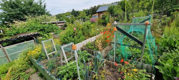  Land in Friesland, Germany No. 234655 9