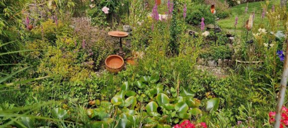  Land in Friesland, Germany No. 234655 20