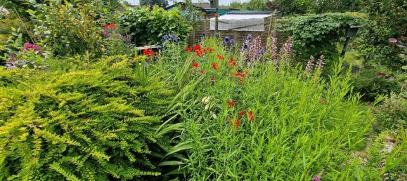  Land in Friesland, Germany No. 234655 7