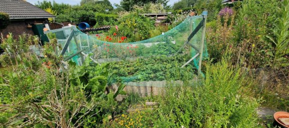  Land in Friesland, Germany No. 234655 8