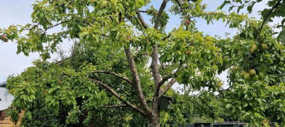  Land in Friesland, Germany No. 234655 17