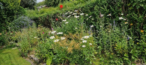  Land in Friesland, Germany No. 234655 16