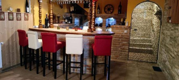 10 rooms Villa in Weisskirchen an der Traun, Austria No. 197421 3