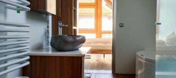 10 rooms Villa in Weisskirchen an der Traun, Austria No. 197421 8