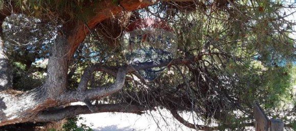 7 bedrooms Villa in Trinità d'Agultu e Vignola, Italy No. 260362 37