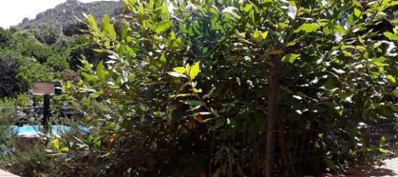 7 bedrooms Villa in Trinità d'Agultu e Vignola, Italy No. 260362 35