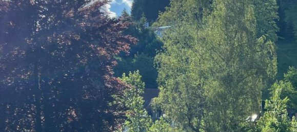 2 rooms Duplex in Waldshut, Germany No. 4954 9