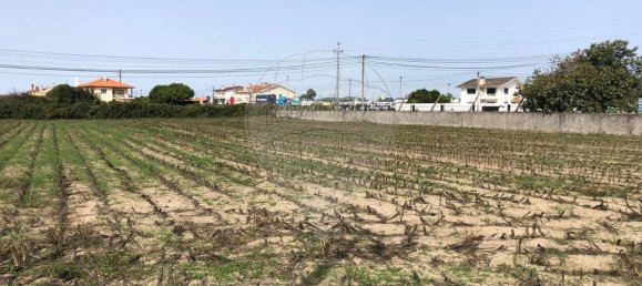 2640m² Land in Ovar, Portugal No. 90457 5