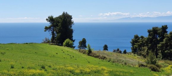 11000m² Hotel in Chalkidiki, Greece No. 3954 2