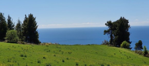 11000m² Hotel in Chalkidiki, Greece No. 3954 3