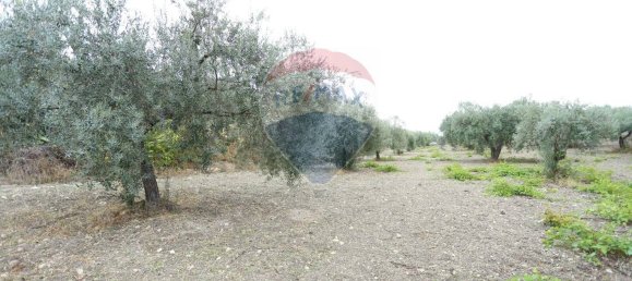 3 Schlafzimmer Haus in Chiaramonte Gulfi, Italy, Nr. 350862 26