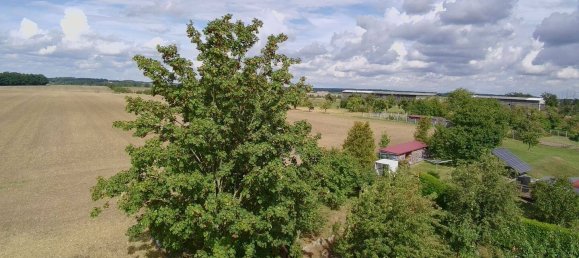 7-Zimmer Stadthaus in Leipzig, Germany, Nr. 327845 7